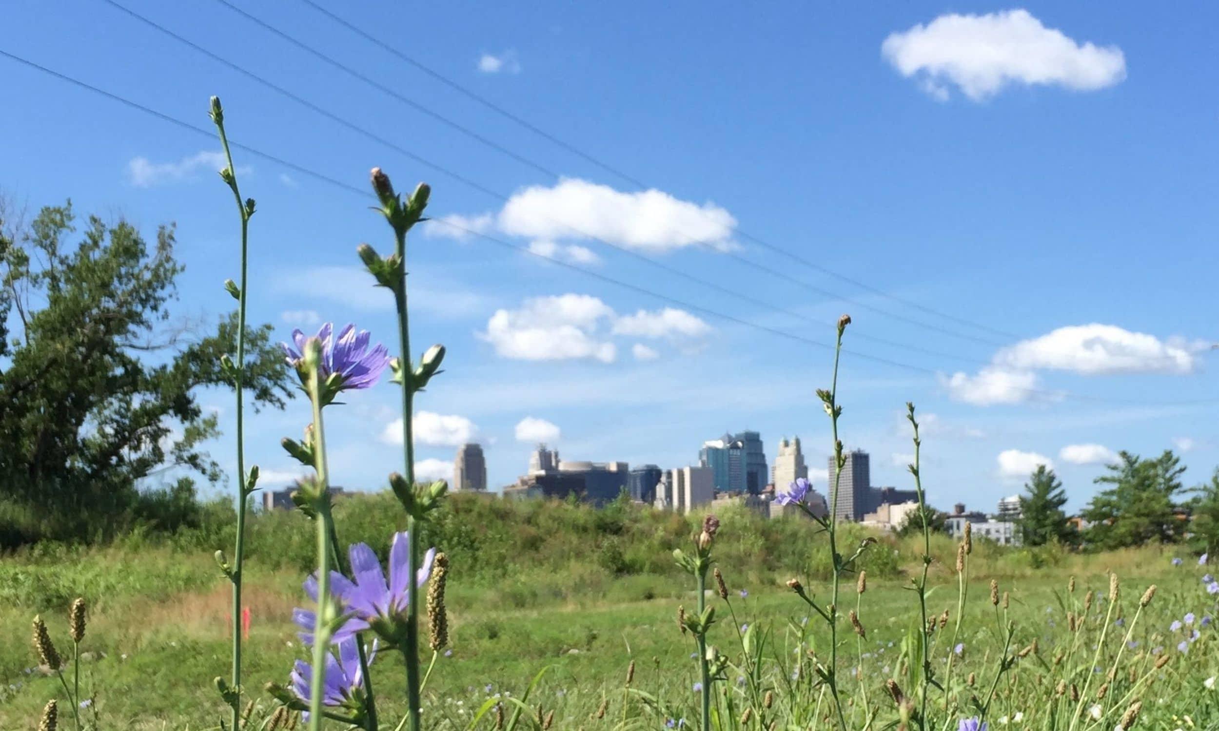 Minneapolis Window Replacement Blog Header